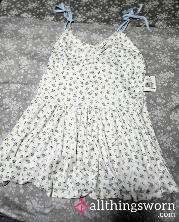 New Cotton Teddy
