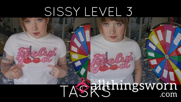 NEW Level 3 Bis**ual Sissies Kinky Spin The Wheel Sissy Tasks