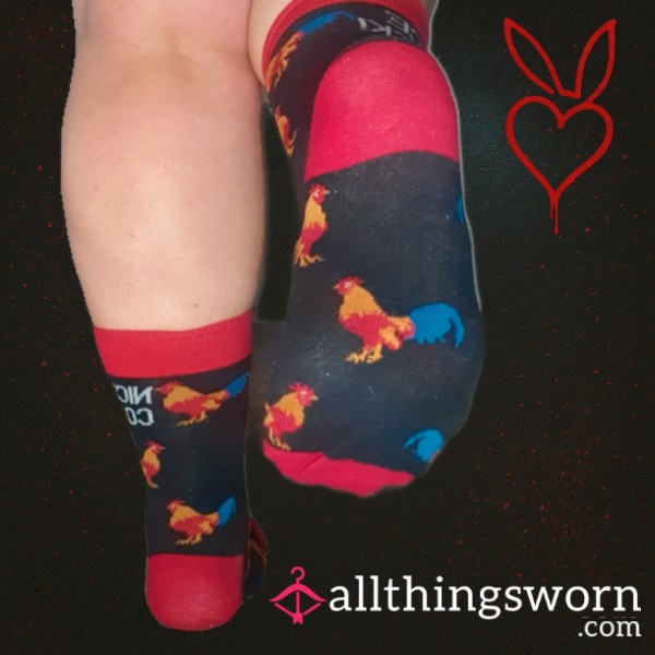 NICE 🐓 Socks Made Filthy For You