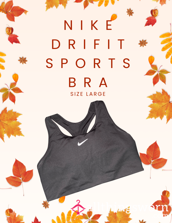 Nike Dri-Fit Sports Bra