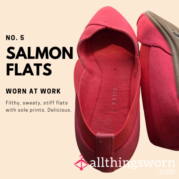 No. 5 SALMON FLATS. Stinky Canvas, Pointed Toe Flats