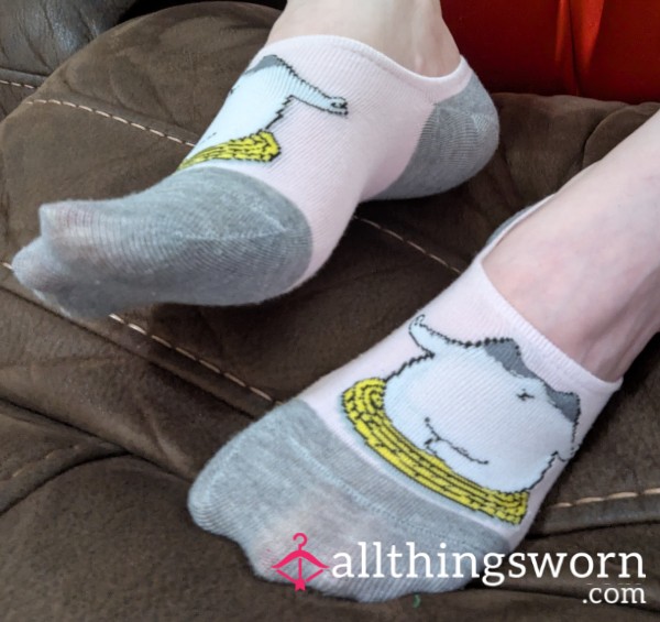 No Show Kitty Socks
