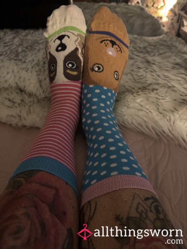 Not Everyone Deserves These Socks. But Maybe You Do. Prove It. Buy Them. 🧦 😜