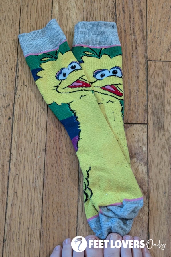 Novelty Socks - Big Bird - 10hr Wear