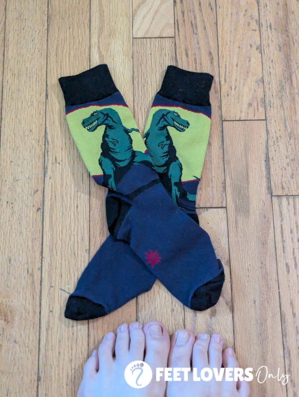 Novelty Socks - Dinosaur - 10 Hr Wear