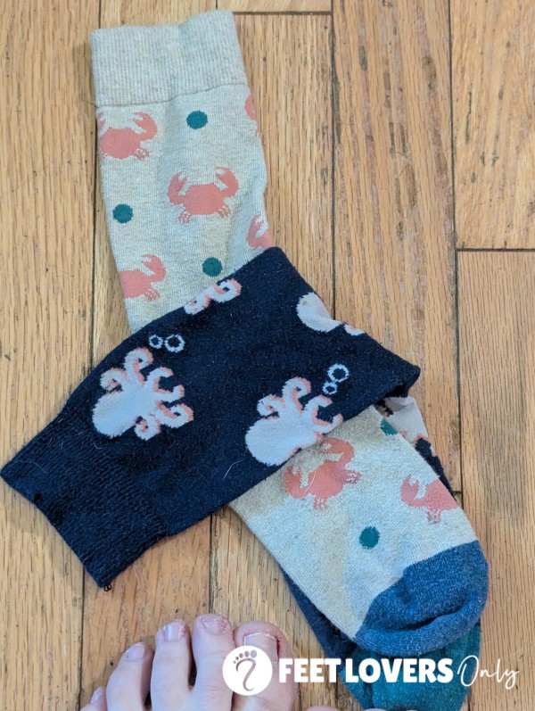 Novelty Socks - Ocean Theme - 10hr Wear
