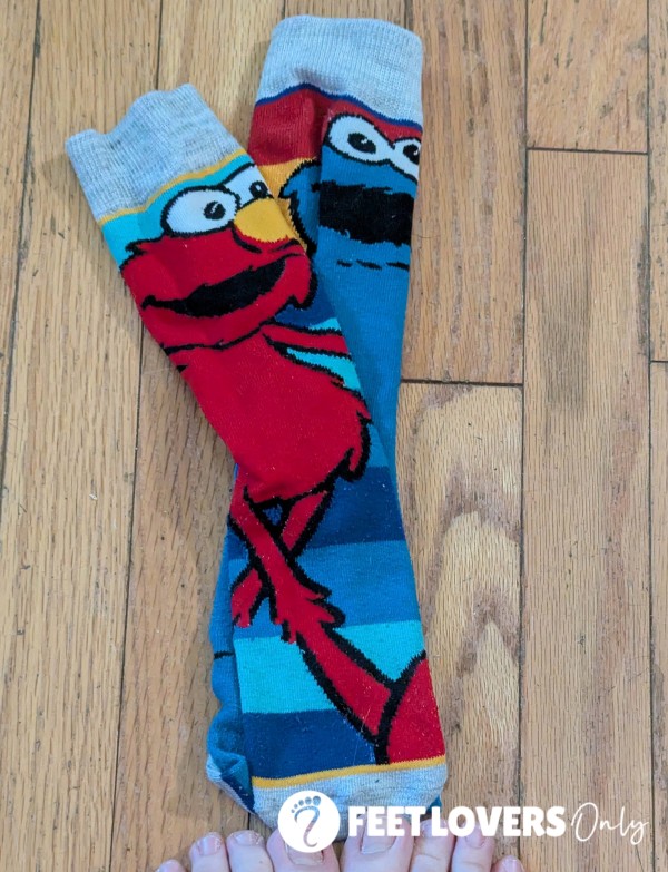 Novelty Socks - Sesame Street - 10hr Wear