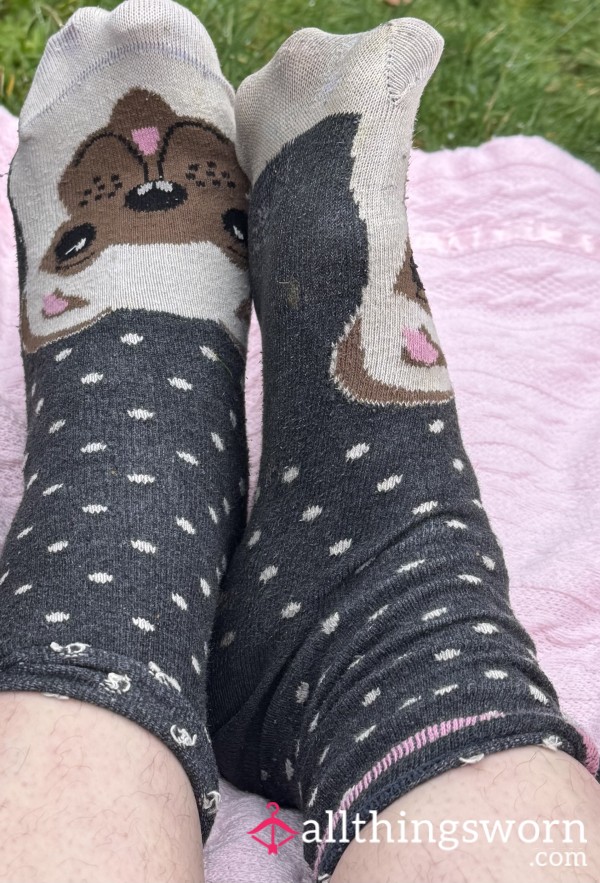 Now One Week Worn Sealed And Ready To Ship Cute Bear Cotton Socks