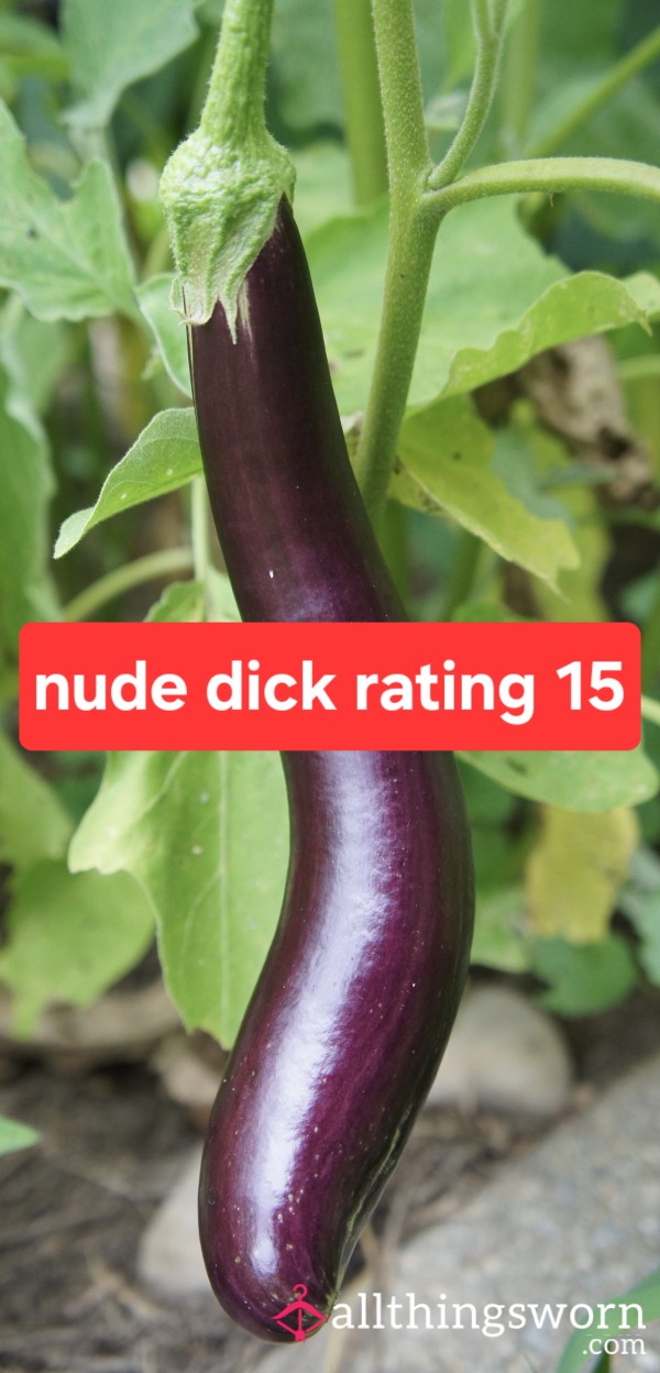 Nude D*ck Rating 15 Dollars