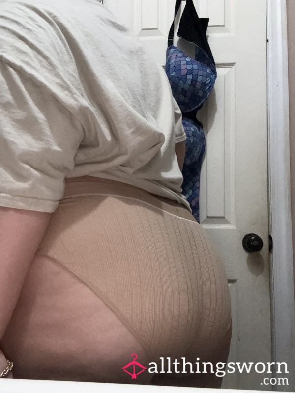 Nude Hanes Bikini Panties✨