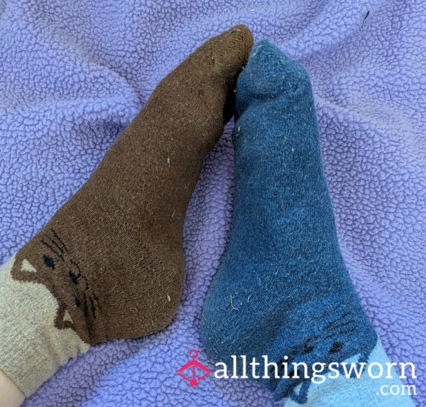 Odd Kitty Cat Socks