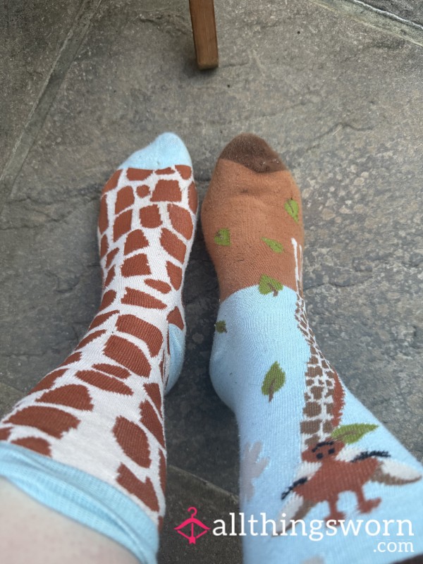 Odd Socks With 1 Day Wear