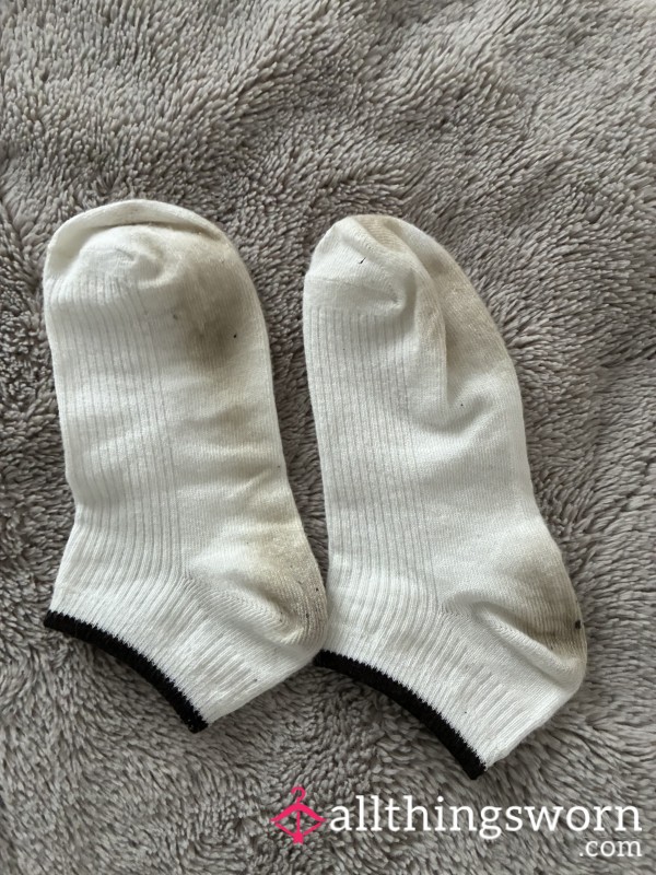 Office Socks