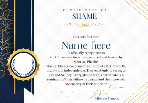 Official Certificate Of Shame