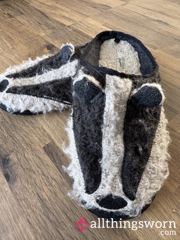 Old Badger Slippers Worn And Smelly 😩😖