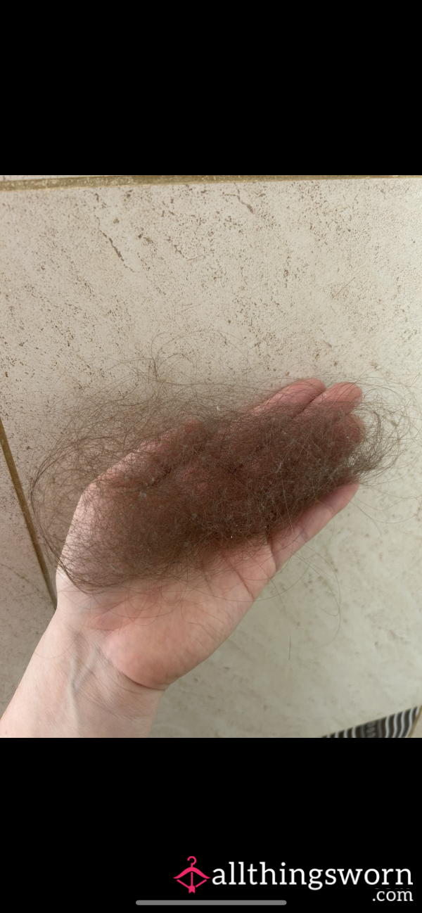 Old Dirty Hair From My Brush