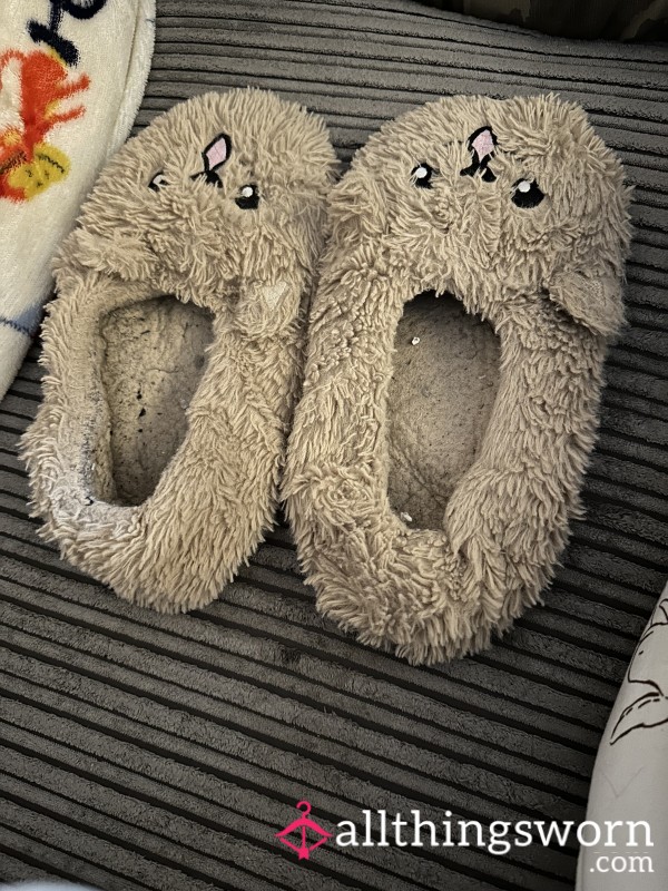 Old Dirty Slippers