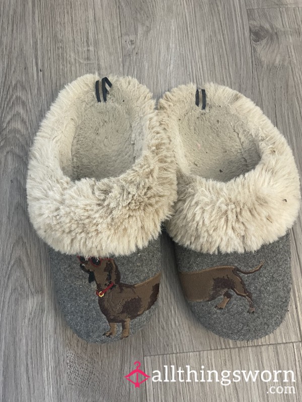 OLD, DISGUSTING, STINKY Joules Slippers In Size Small