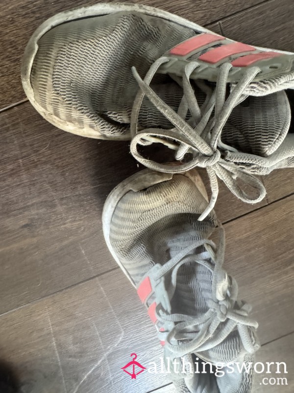 Old Faithfuls