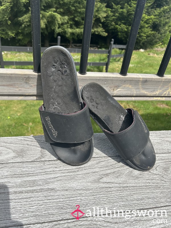 Old Faithfuls