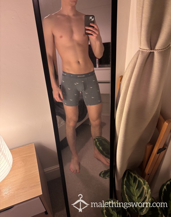 Old Grey Hollister Boxers