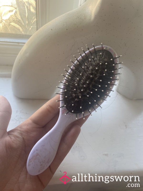 Old Hairbrush