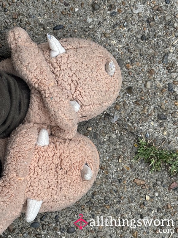 Old Slippers With Smelly Feet Been In Them