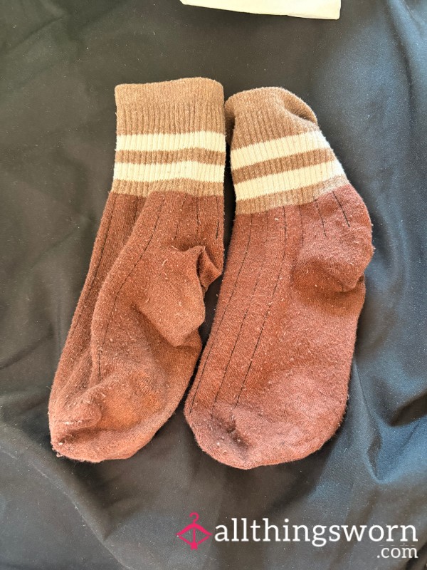 Old Stinky Brown Socks