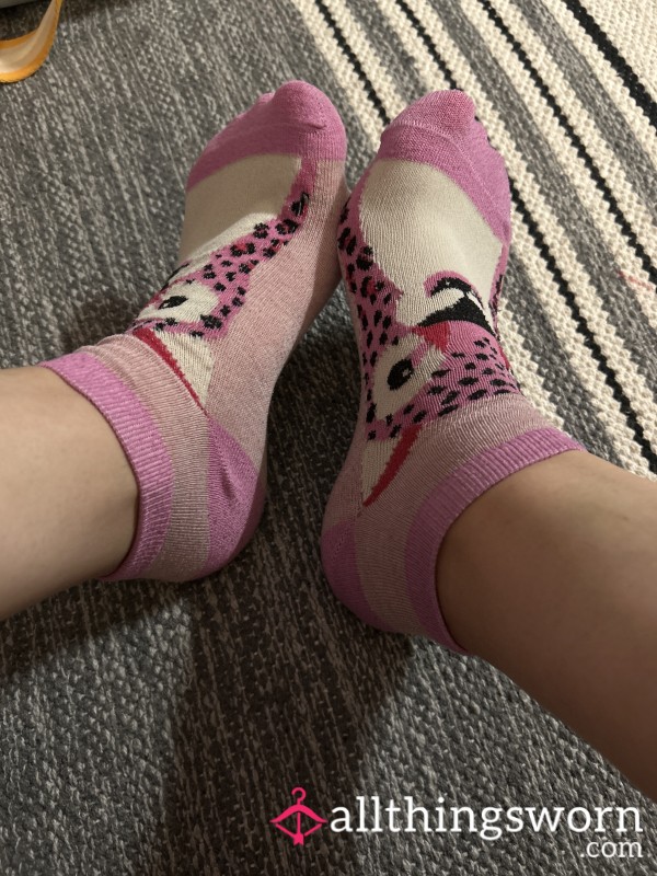 Old, Stinky Pink Ankle Socks 🥵🥵