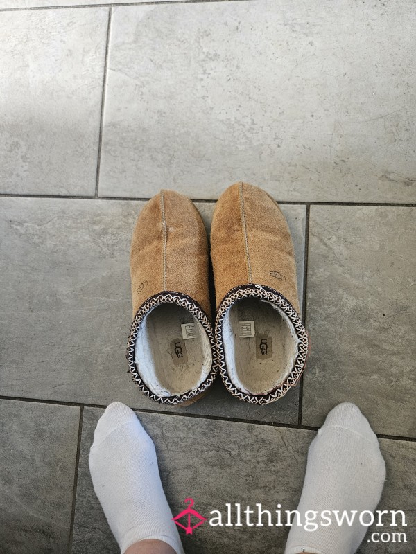 Old, Stinky Ugg Slippers, With Extra Juices 👀