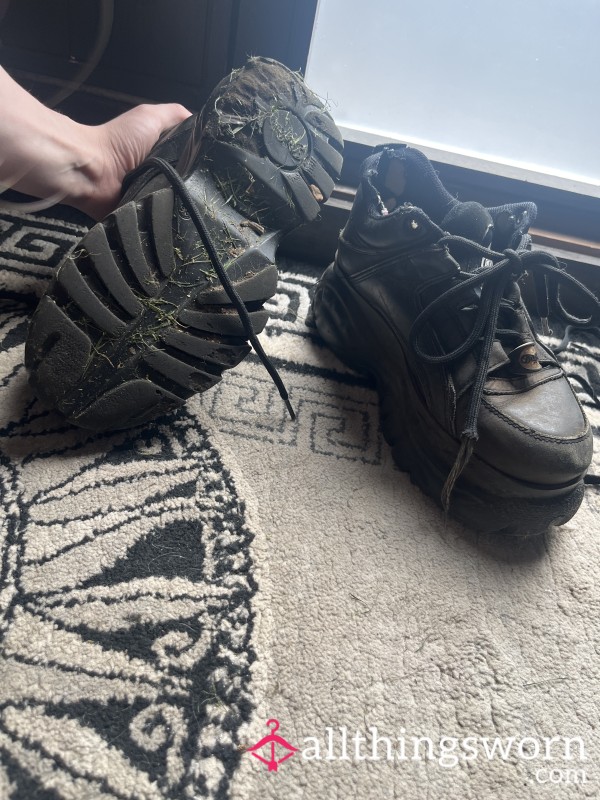 Old Worn Buffalos