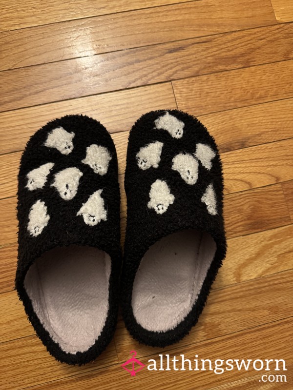 Old Worn Down Sp**ky Slippers