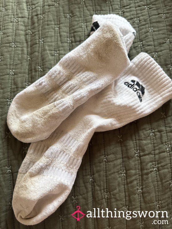 Old Worn Smelly Socks