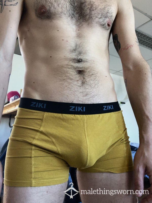 Orange Boxer