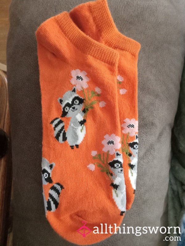 Orange Racoon Socks (3 Day Wear)