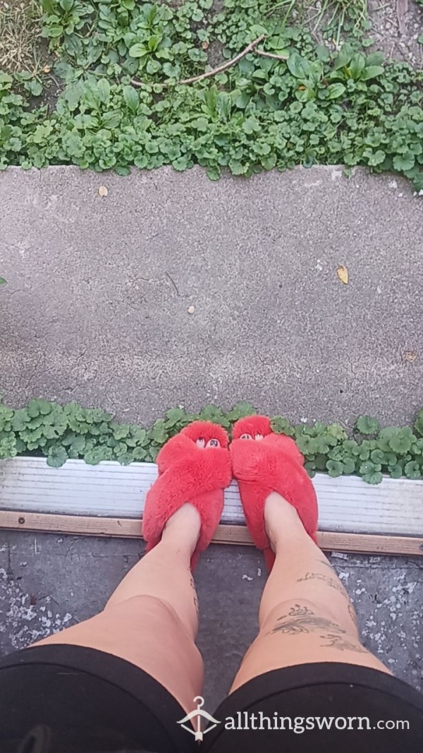 Old Orange Slippers