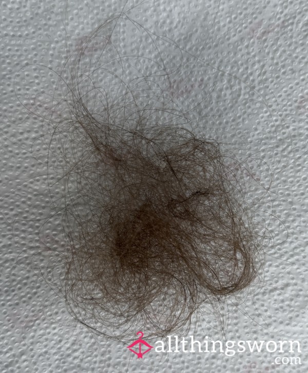 Brown Hair Removed From My Hairbrush