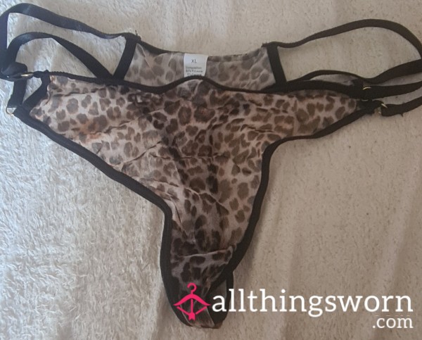 Ovulating Thong
