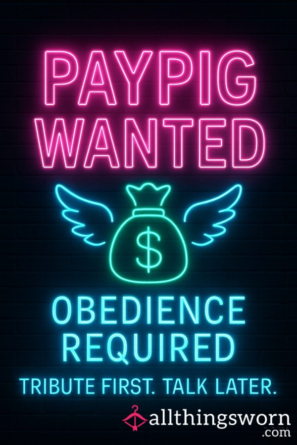 Findom Ownership Opportunity