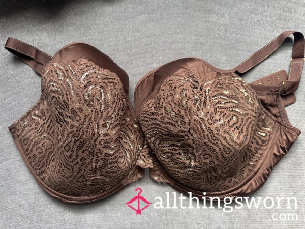 Padded Bra.