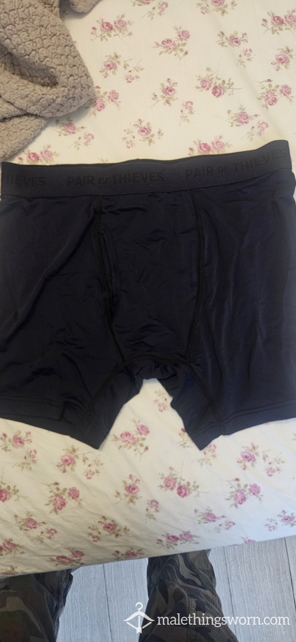 Pair Of Thieves Briefs