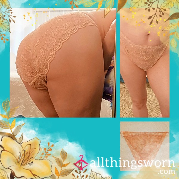 Pale Pink Lace Full Back 3XL Panties