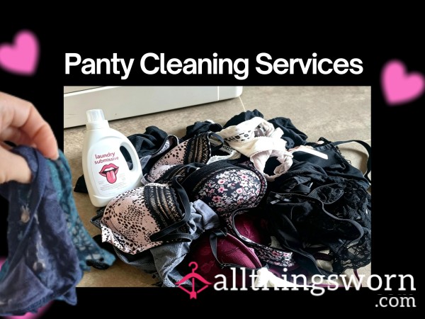 Panty Cleaning Services