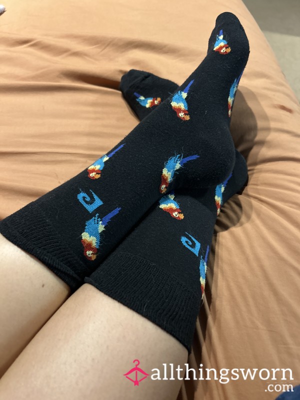 Parrot Socks