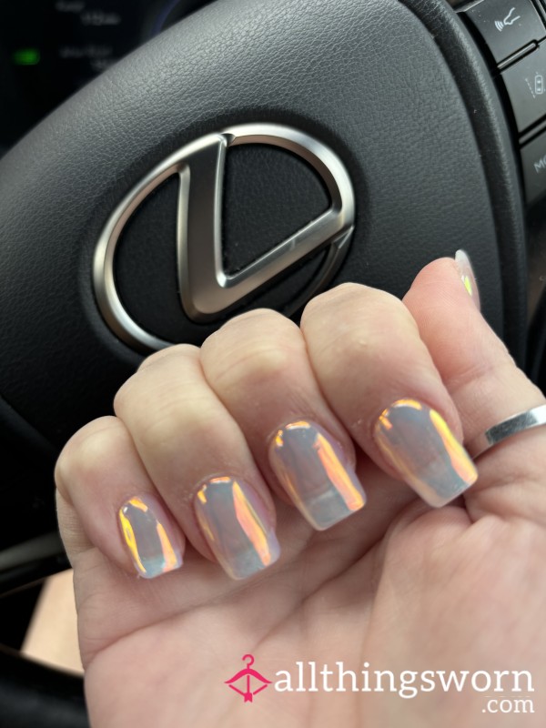 Pathetic Men Who Want To Beg