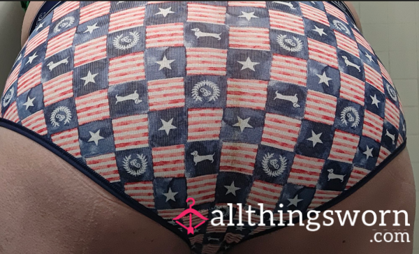 Patriotic Panties With Weiner Dogs