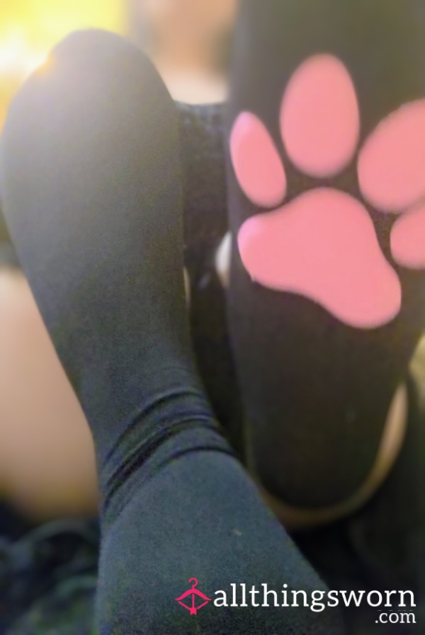 🐾 Paw Socks & Soles 🐾