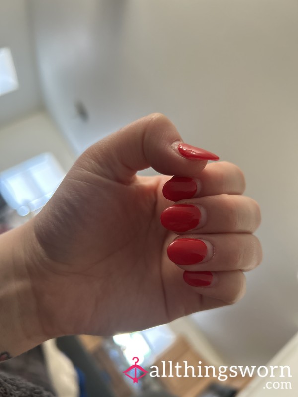 Pay For My Claws ✨💅🏻