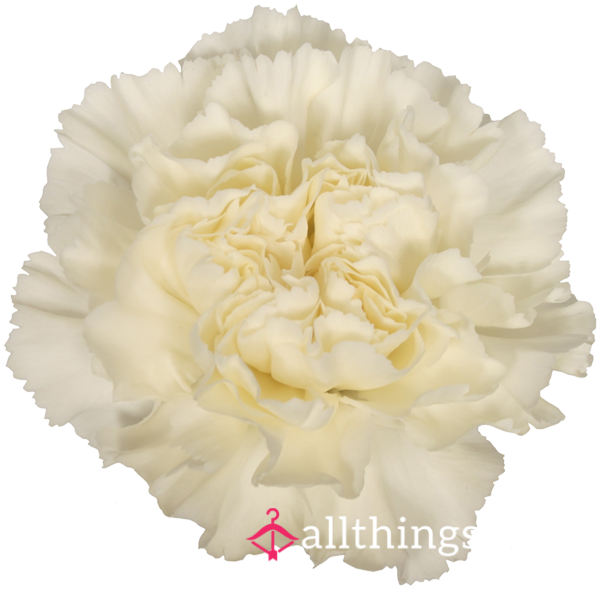 Pay For My Coffee/redbull☕️❤️💙