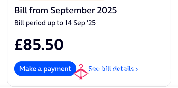 Pay My Phone Bill This Month!📳